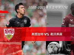 多米体育全站官网-斯图加特升德甲